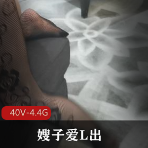 推特嫂子自拍短视频集，露脸多人合拍，车衣棒棒糖