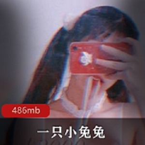 推特绝版小兔兔资源合集486MB，珍惜双重风格