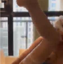 推特姐妹花私拍珍稀合集665MB，真实演技不容错过