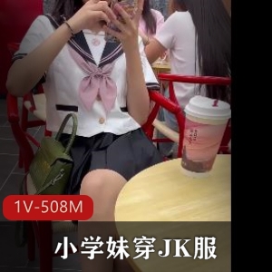 JK服小学妹诱人自拍合集1V508M，娇小气质迷人