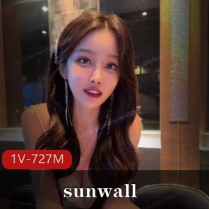 韩国酒吧自拍女团成员sunwall最新合集1V727M，洗手间下水道，套路作品多，颜值身材亮眼