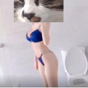 网红快手长腿黑丝美女神最新合集1V1G，顶级女主播展示