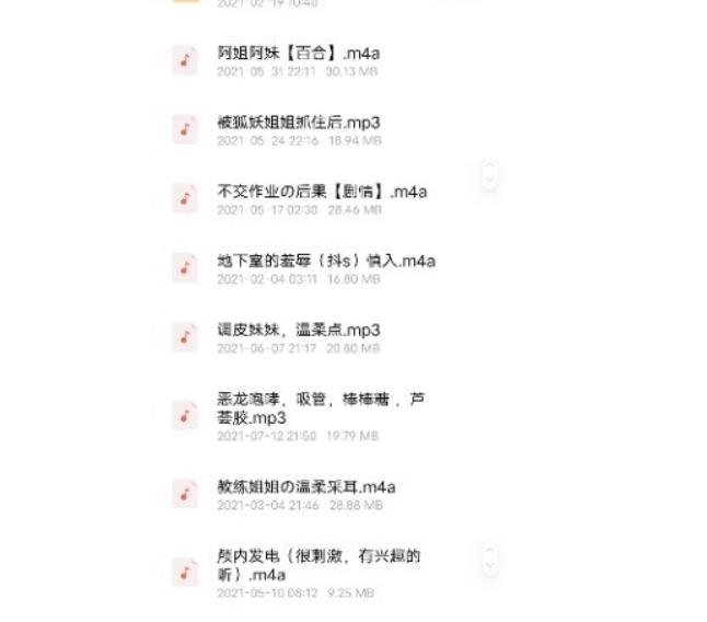 虎牙仙姬绝版音频合集2.07G，助眠与18R内容并存