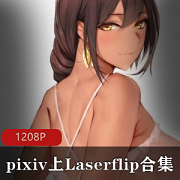 P站Laserflip与MetalOwl妖媚画师全集合集50G火爆