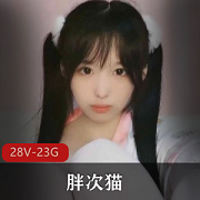 推特胖次猫双马尾少女袜子合集23G超甜美