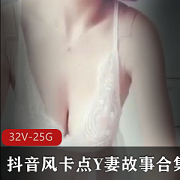 抖音风大神卡点Y妻剧情32部25G网盘珍藏