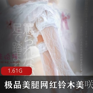 推特铃木美咲神秘美腿COS合集1.61G太诱人了