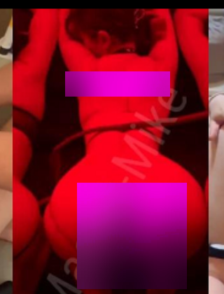 训犬实录Mike山峰学员多人教学35V/1.83G劲爆版