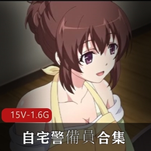 岛国自宅警備員里番15部1.6G无圣光