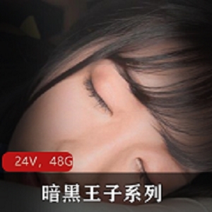 J作品暗黑王子系列无水印合集24部48.2G