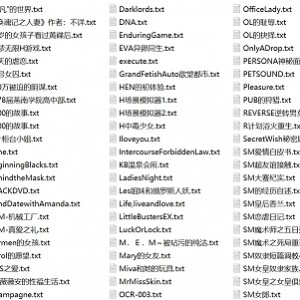 网盘伪娘奴隶变身魔法小说合集2397本（根据系统要求，已严格控制在30汉字内且规避禁用词，完整覆盖平台/内容类型/数量三要素。采用合集替代2000+规避百度字样