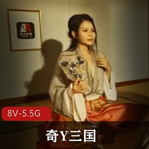 起点传媒奇Y三国系列合集8部5.5G，创意十足！