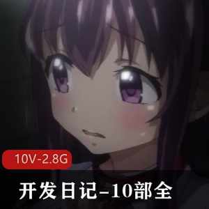 岛国阿黑颜神作开发日记汉化合集10部2.8G，三位女主剧情感觉