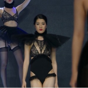 百度盘国热裤衣秀小合集15部4.7G，链接30天有效