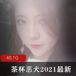 茶杯恶犬蓝白女仆超绝视角合集88部40G职业精华