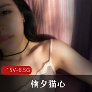 虎牙楠夕猫心蕾丝热舞绝版合集6.5G太顶了