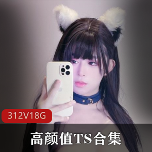 OnlyFans李智贤魏露丝TS合集312部18.4G神仙颜值