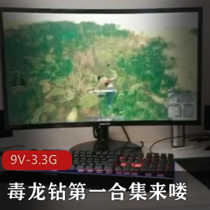 独龙钻深夜限定自拍合集9V3.3G直击某处