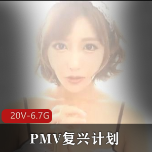 PMV复兴计划绝版合集20V6.7G退役女Y珍藏级