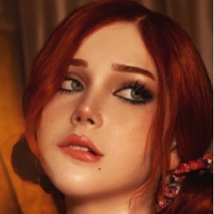 sayathefox圣诞特辑珍藏版10P108MB推特精选