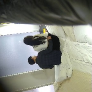 乐橙精选25套仙女级颜值85V107G优质收藏