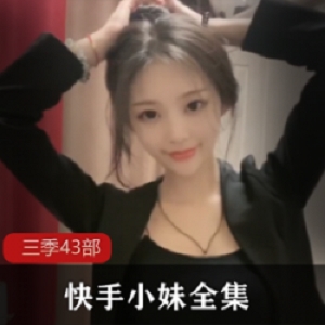 快手西梅43V饕餮版43G像素艺术