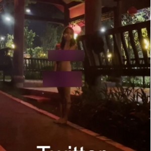 劲爆爱吃菠萝户外展示推特72部8G