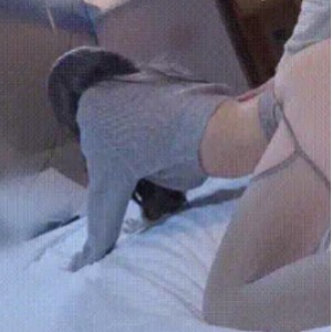 推特优质捅主任互动自拍合集55V60G劲爆