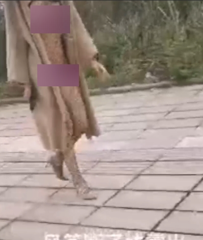 **推特风筝33.8G很高兴户外合集**