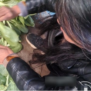 外站实在小李子给妈珍藏级作品15部601.5MB