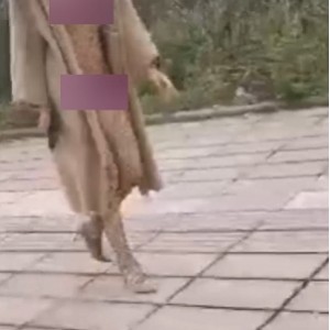 **超珍惜33.8G合集拍摄大神风筝断了线**