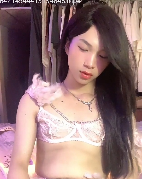 Sellykat越南TS优质打胶合集9部2.8G资源