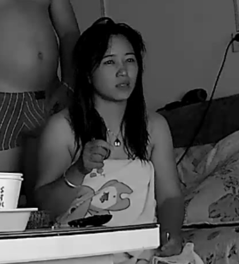 内部家庭监控合集377g丰盈版
