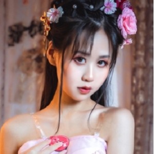 古典韵致汉服合集百度云资源19.65G