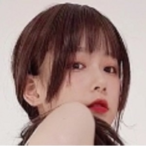 度盘发条9月会员合集1.08GB高清