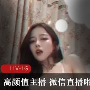 1G某推冷门高颜值无名美女直播11部合集